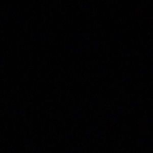 Meet your Posher, Bailey